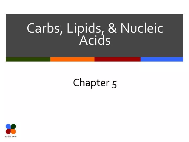 carbs lipids nucleic acids n.