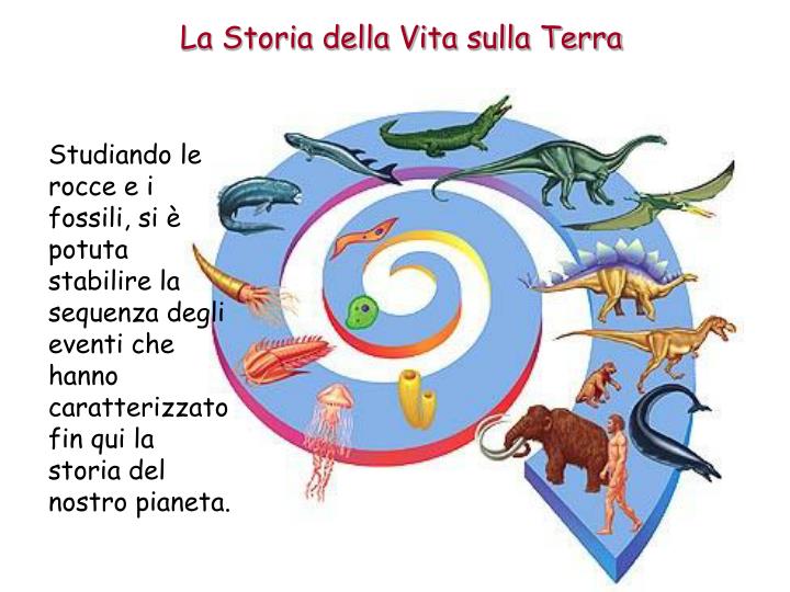 PPT Le Ere Geologiche PowerPoint Presentation ID1792102