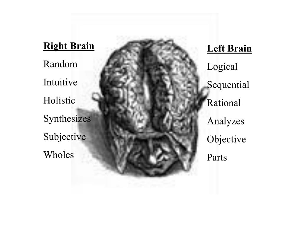 Hemispheric Specialization PowerPoint Presentation free download Biology Diagrams
