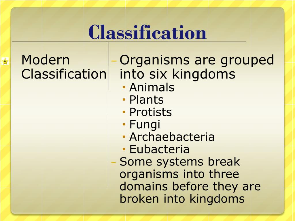 PPT - Classification PowerPoint Presentation, free download - ID:1792826