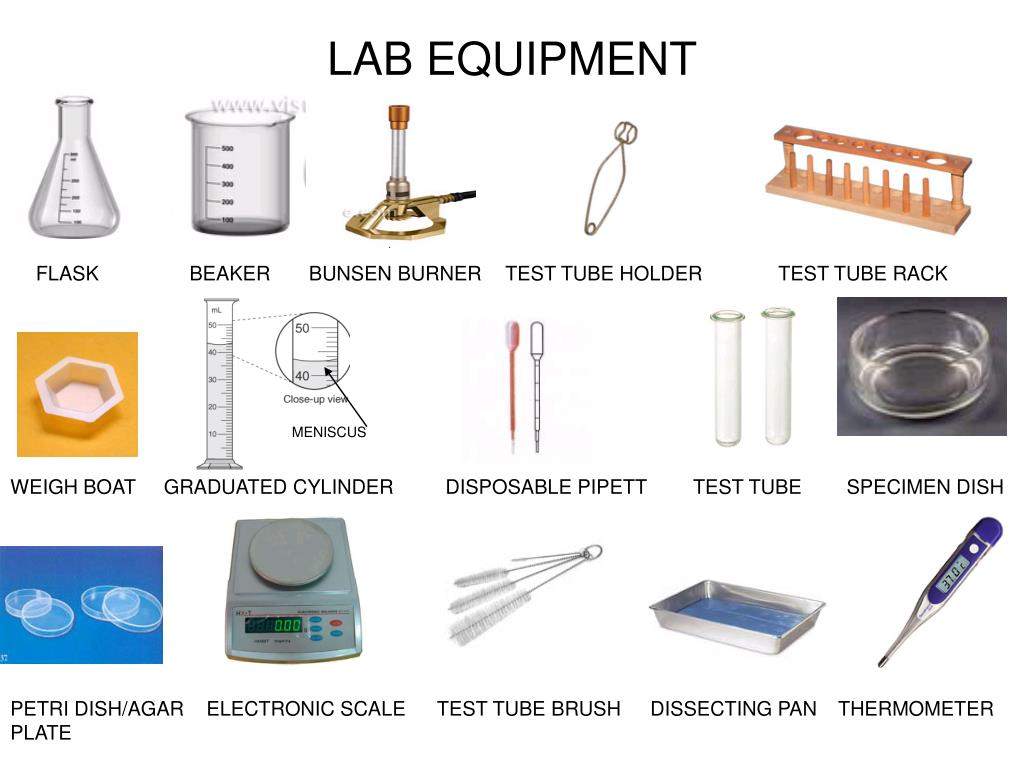 Basic Laboratory Equipment List Of Lab Equipment Names And Pictures 
