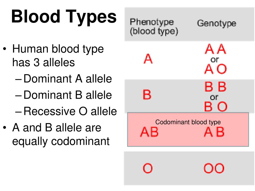Тайп перевод. Blood Type. Null Blood Type. B+ Blood Type. Rh null Blood Type.