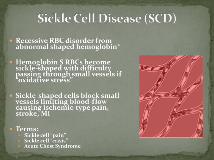 sickle cell disease scd essay Sickened by sickle-cell disease cell awareness month to highlight the need for better treatment options for scd what is a sickle cell essay lgbtq. sickle cell disease scd essay Sickened by sickle-cell disease cell awareness month to highlight the need for better treatment options for scd what is a sickle cell essay lgbtq.