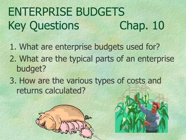 enterprise budgets key questions chap 10 n.
