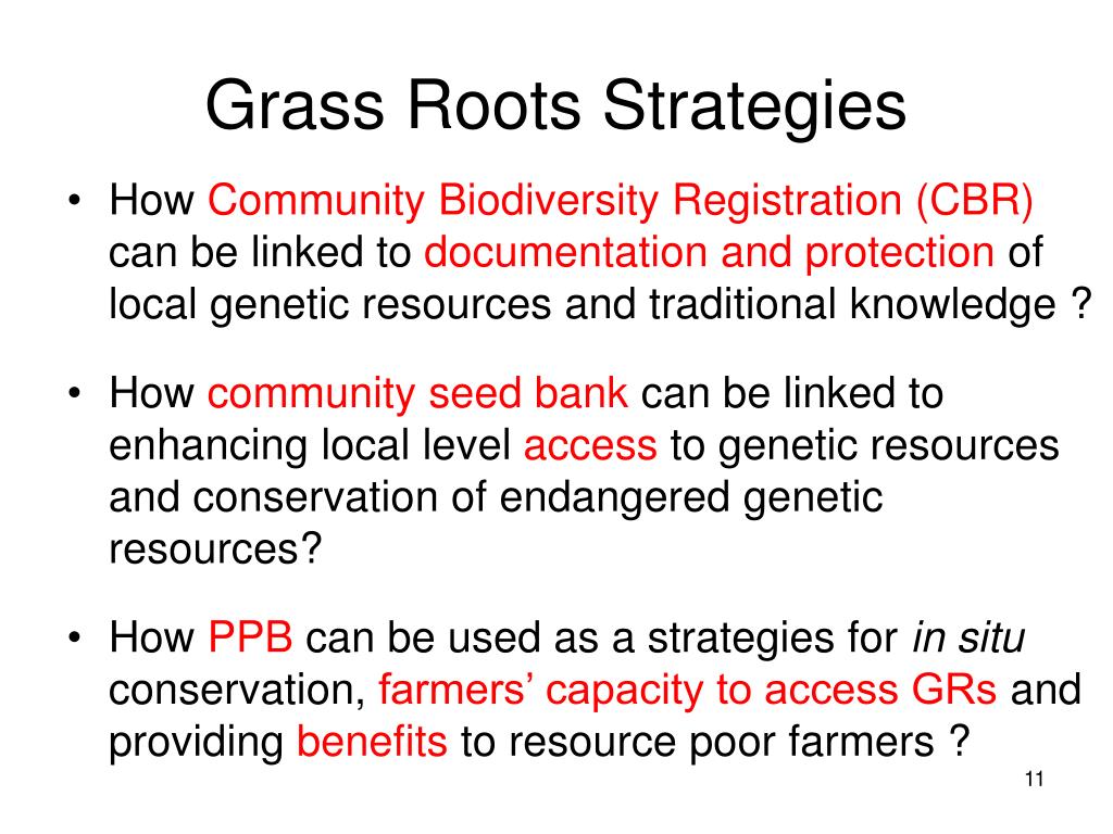 PPT - Devendra Gauchan, PhD Senior Scientist (Agricultural Economist ...