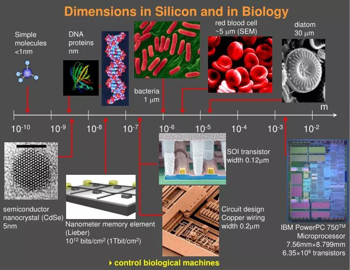 an overview of the silicon and its use as a semiconductor an overview of the silicon and its use as a semiconductor
