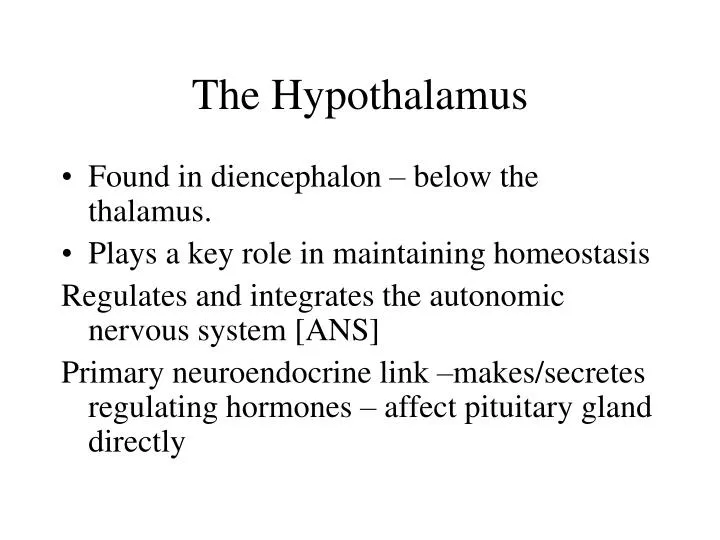 the hypothalamus n.