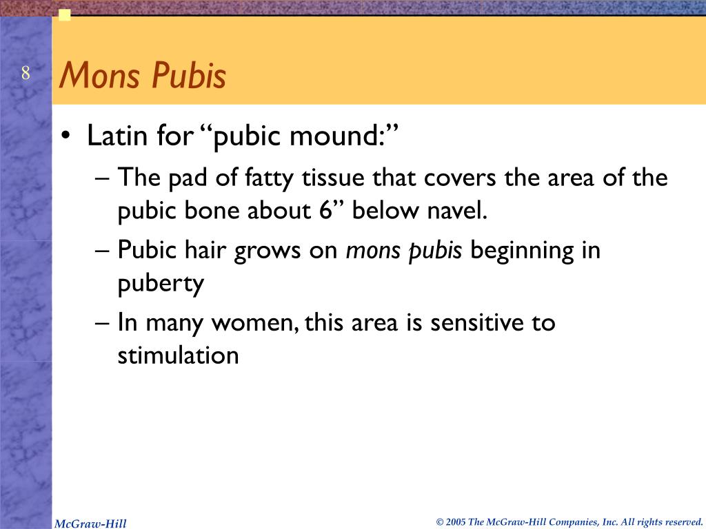 PPT - Female Sexual Anatomy PowerPoint Presentation, free download - ID ...