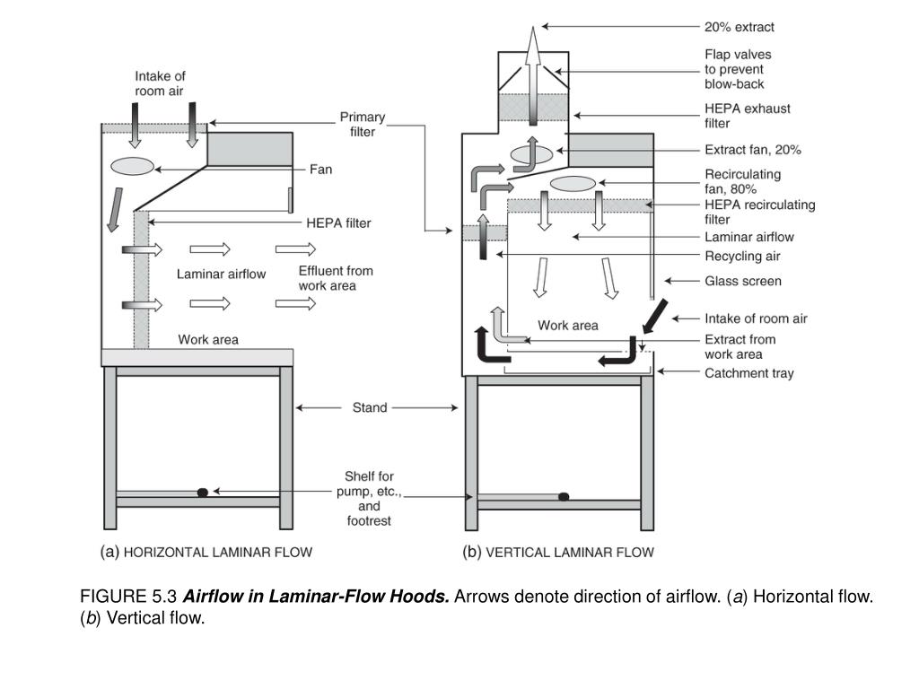 PPT FIGURE 5.2 Tissue Culture Work Area. These photographs show how
