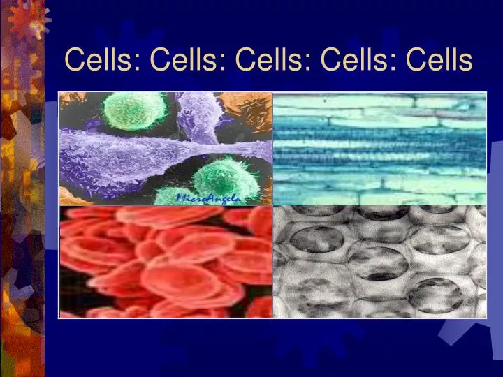 cells cells cells cells cells n.