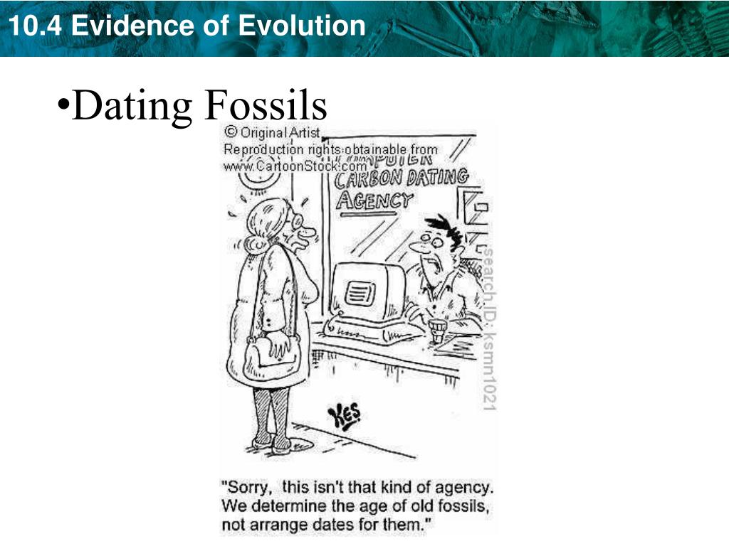 PPT - KEY CONCEPT Evidence of common ancestry among species comes from ...