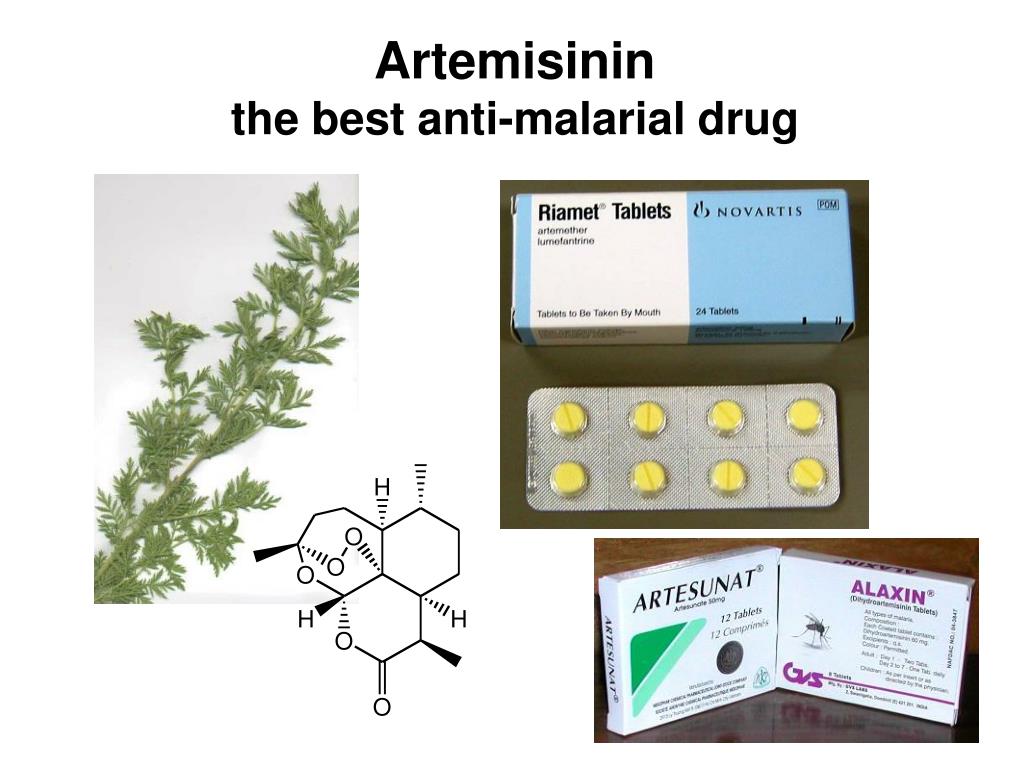 Артемизинин при осложненном течении малярии назначается. Артемизинин формула. Доктор Бест артемизинин. Артемизинин Nutricology. Артемизинин химическая формула.