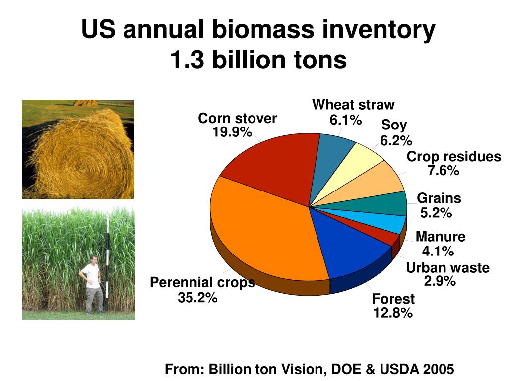 PPT - Synthetic Biology for Synthetic Drugs and Fuels PowerPoint ...