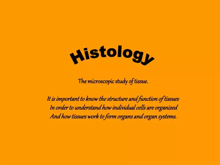 PPT - Histology PowerPoint Presentation, free download - ID:1800026