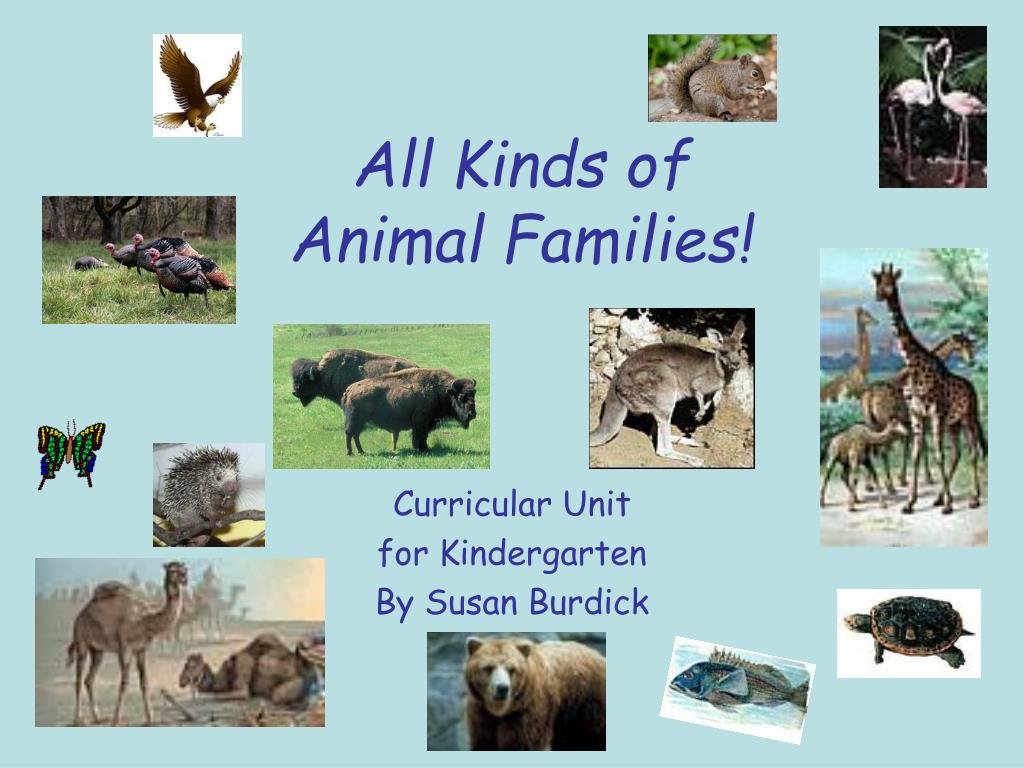 PPT - All Kinds of Animal Families! PowerPoint Presentation, free download  - ID:1800118