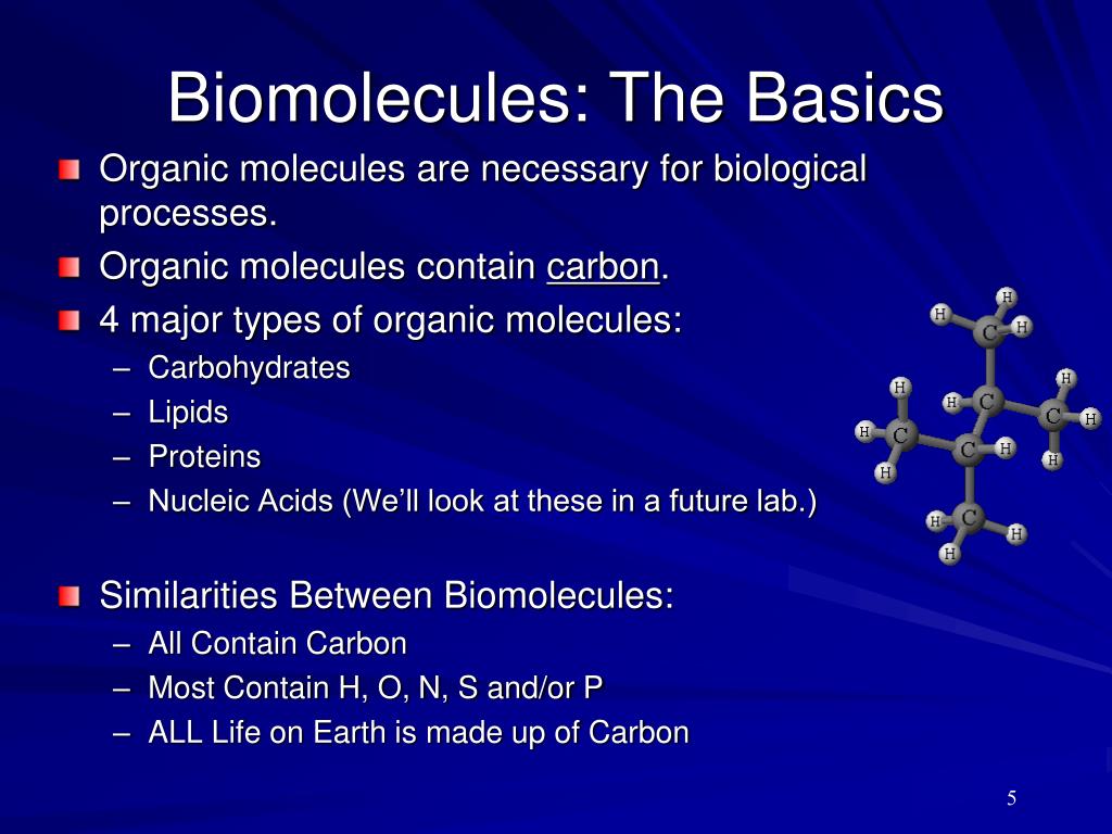 powerpoint presentation on biomolecules