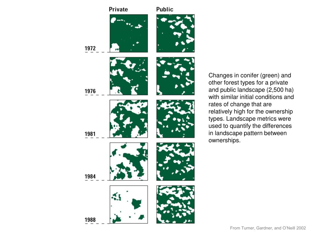 PPT - Why Quantify Landscape Pattern? PowerPoint Presentation, Free ...