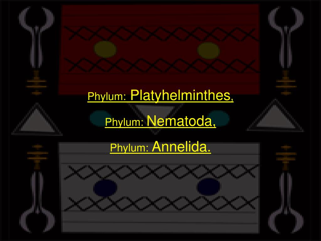 Ppt platyhelminthes és nemathelminthes, Platyhelminthes nemathelminthes ppt - dadam.hu