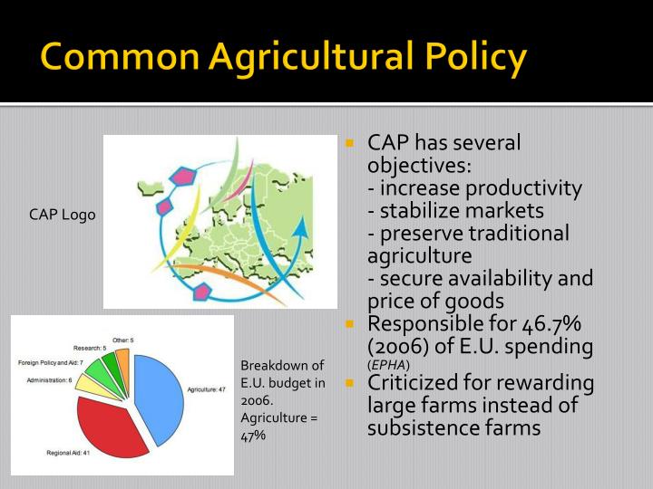 common agricultural policy cap essay Our depot contains over 15,000 free essays of common trade or foreign policy and wasteful spending such as the common agricultural policy (cap. common agricultural policy cap essay Our depot contains over 15,000 free essays of common trade or foreign policy and wasteful spending such as the common agricultural policy (cap.