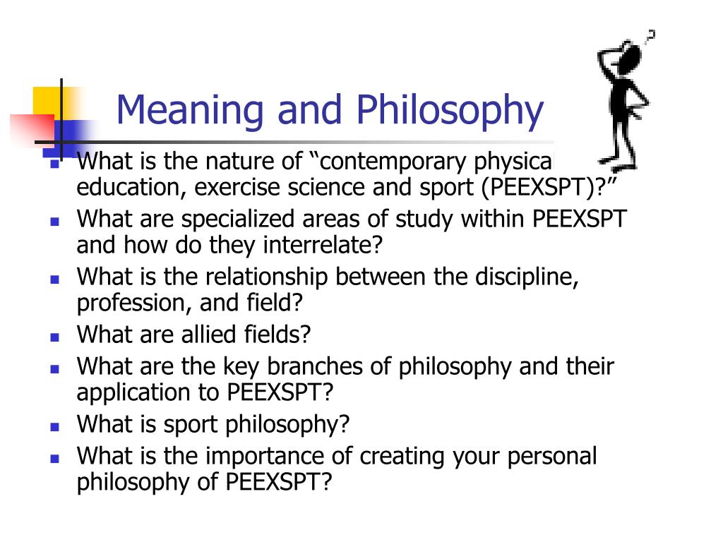 what is the meaning of philosophy essay