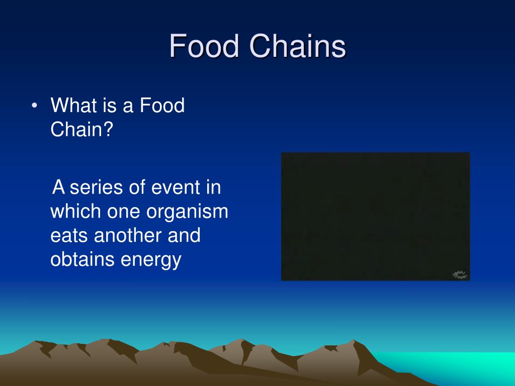 Review of Ecology Ecosystems Food Chains Food Webs PowerPoint ... Biology Diagrams