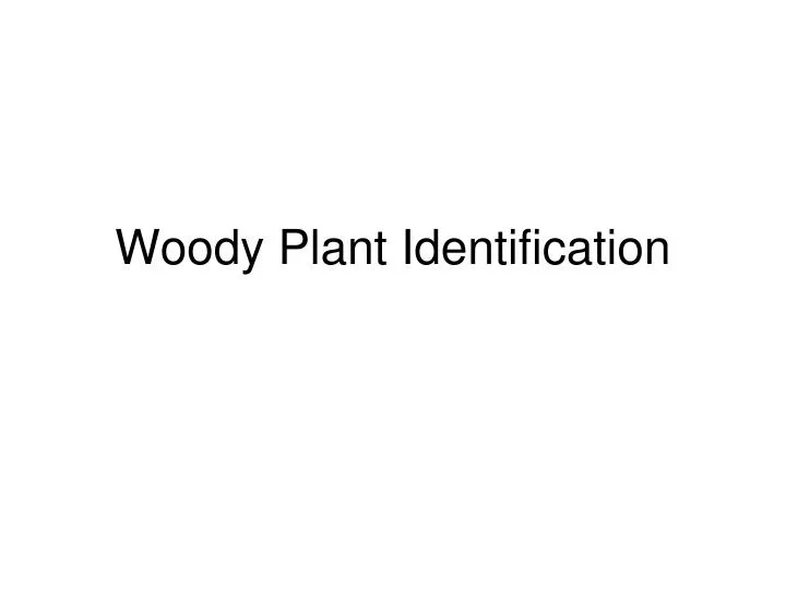 woody plant identification n.