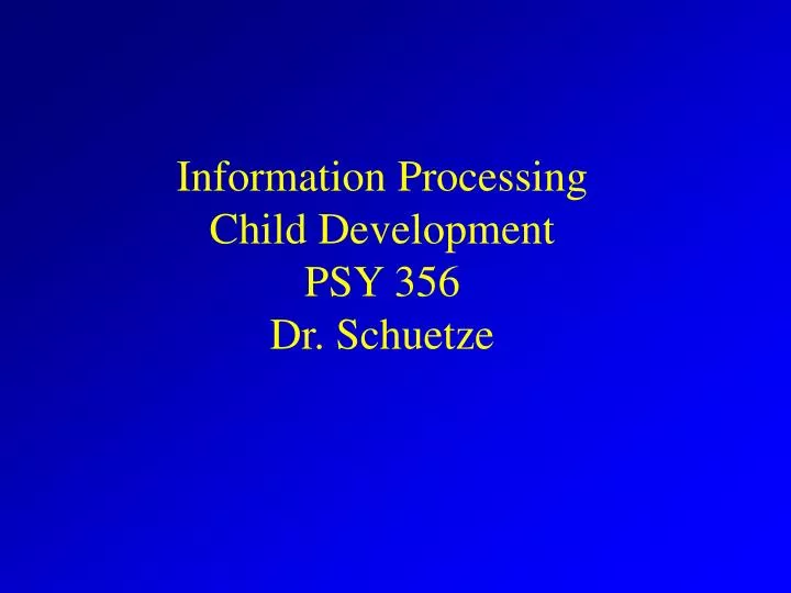 information processing child development