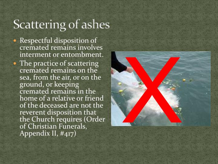 imposition of ashes imposition of ashes