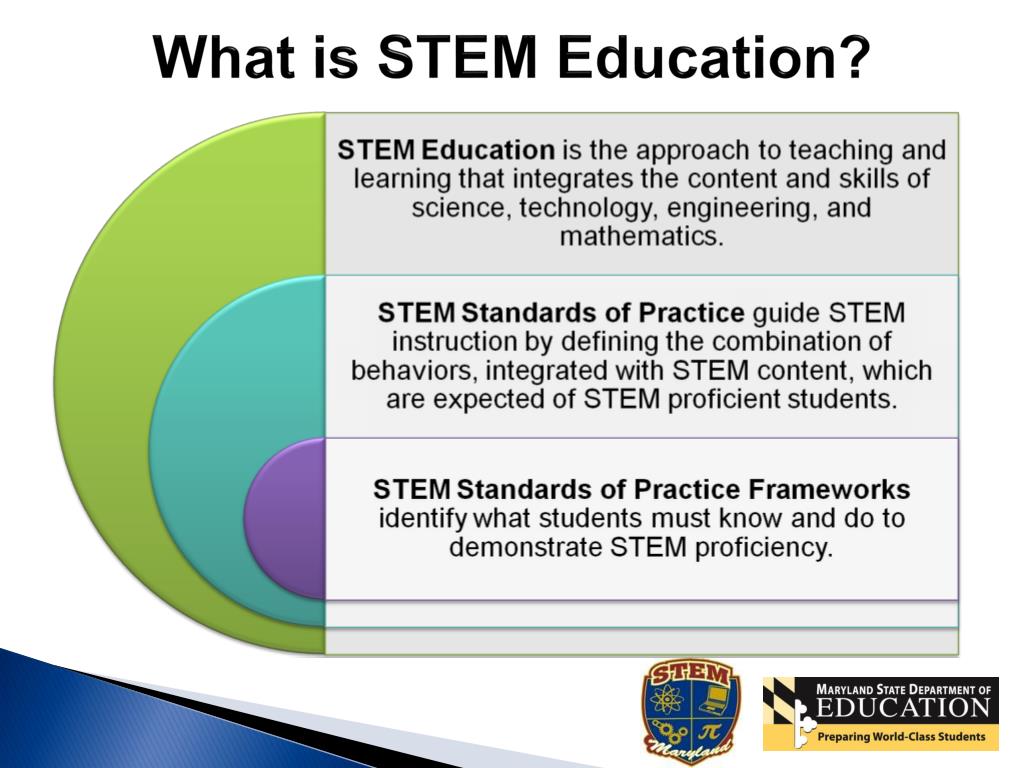 stem definition stem definition