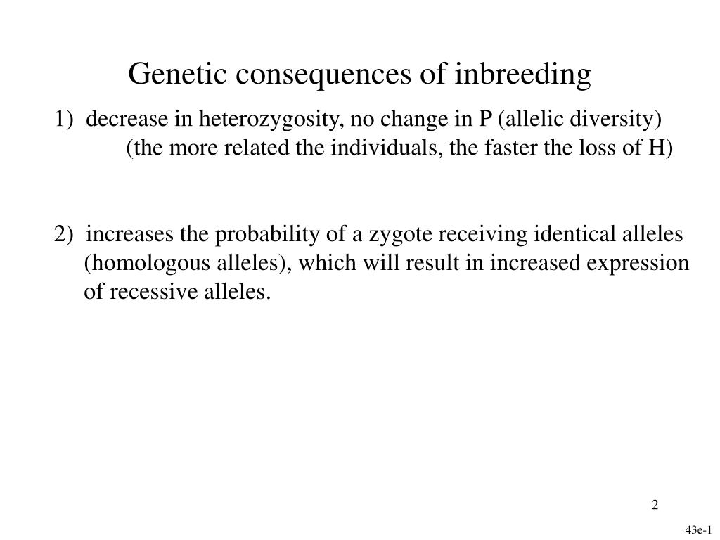 PPT - The Genetic Implications of Inbreeding and Evolutionary ...