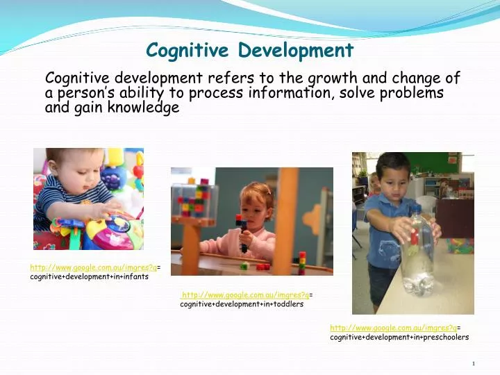 Cognitive Changes In Infancy 2024 favors