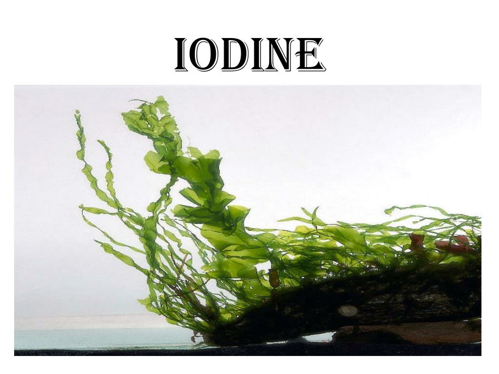 what has iodine in it
