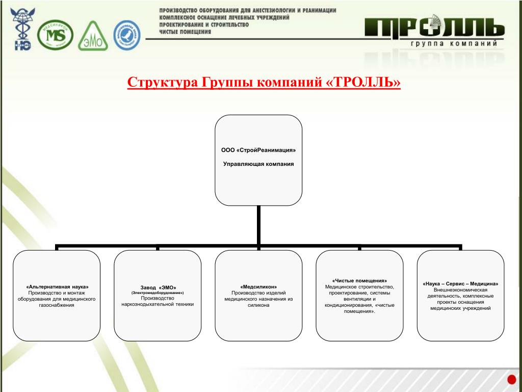 Структура группы. Структура группы компаний. Схема группы компаний. Структура группы схема. Организационная структура группы с указанием долей владения.