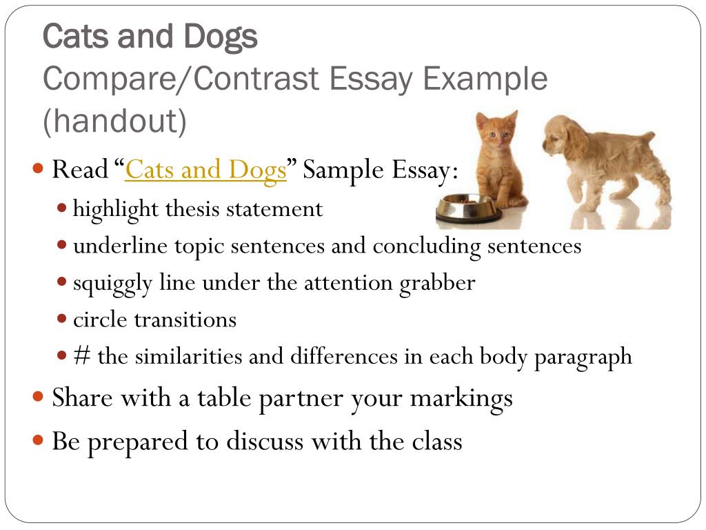 compare and contrast essay about dogs and cats