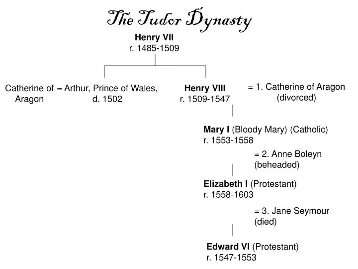 the tudor dynasty n.
