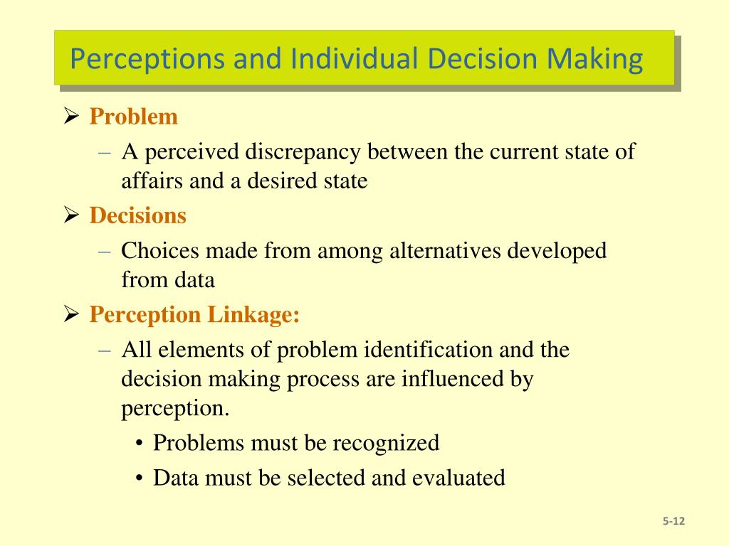 role of perception in decision making
