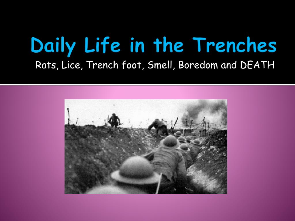 PPT - Life in the Trenches Part II PowerPoint Presentation, free download -  ID:2119705