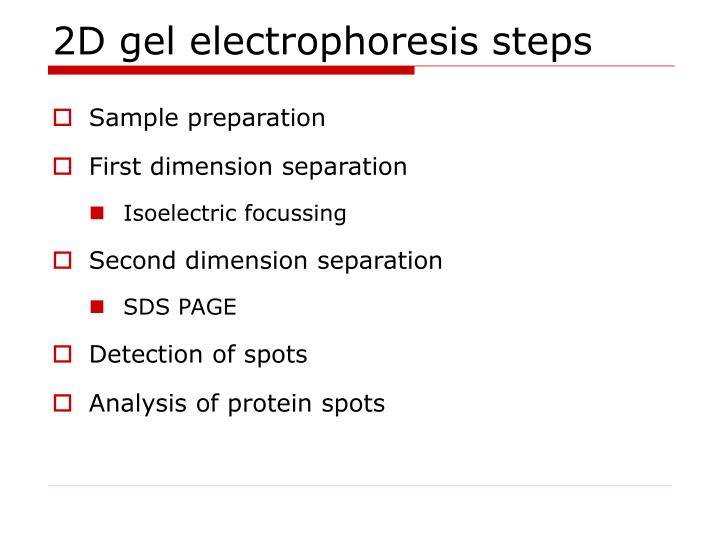 ppt two dimensional gel electrophoresis powerpoint presentation 2d gel electrophoresis
