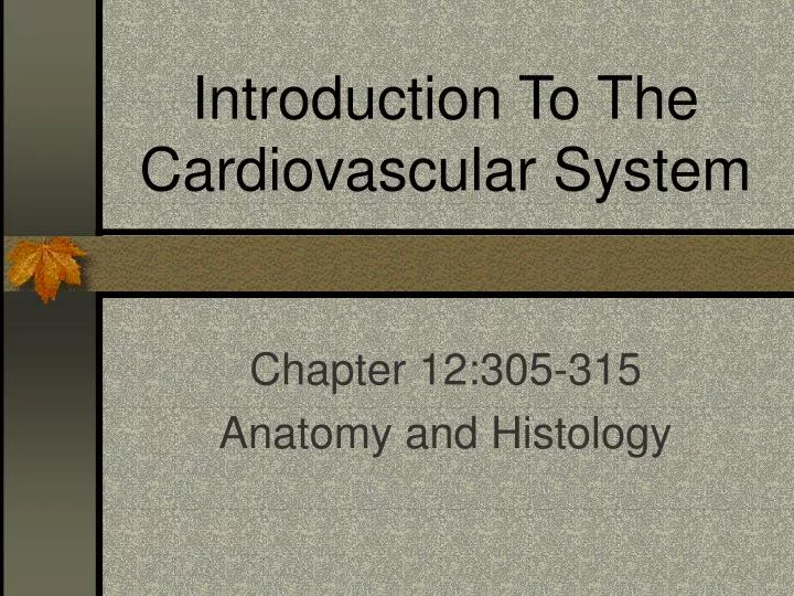 introduction to the cardiovascular system n.