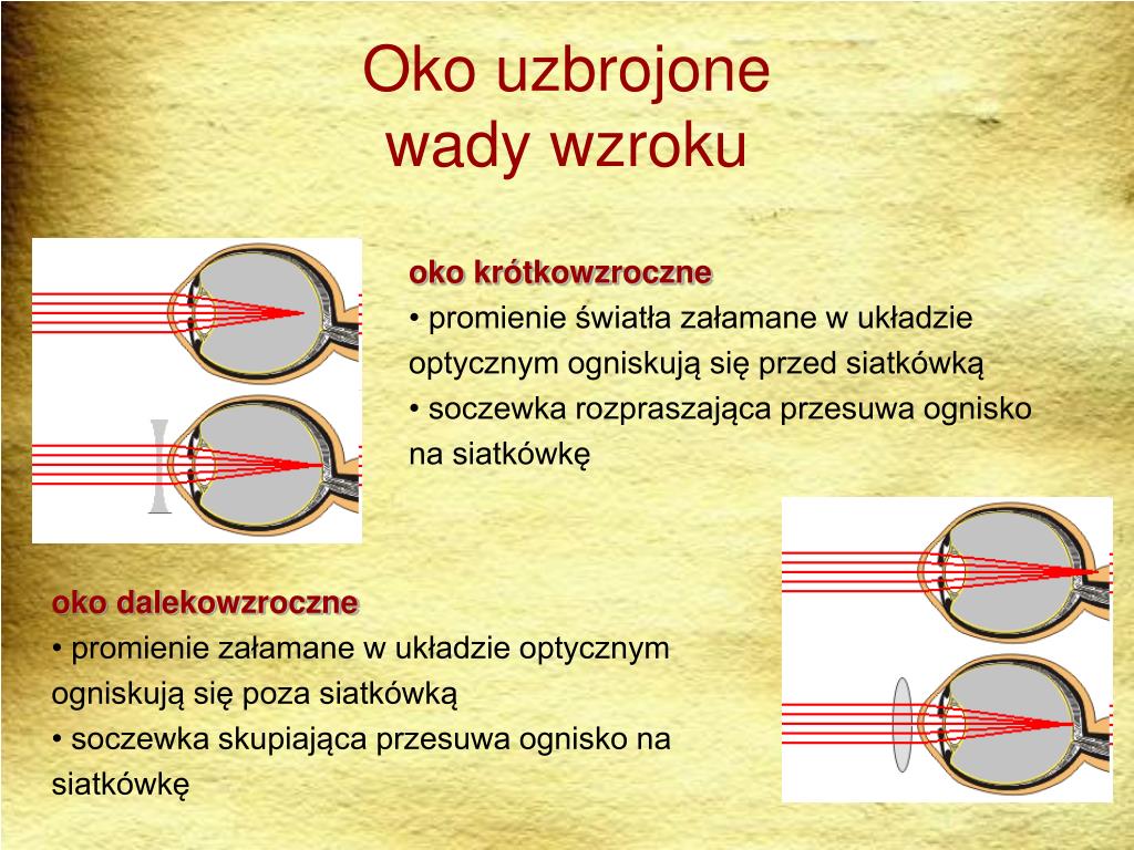 Promienie świetlne Przedostają Się Do Oka Przez PPT - BIOFIZYKA NARZĄDU WZROKU PowerPoint Presentation, free download