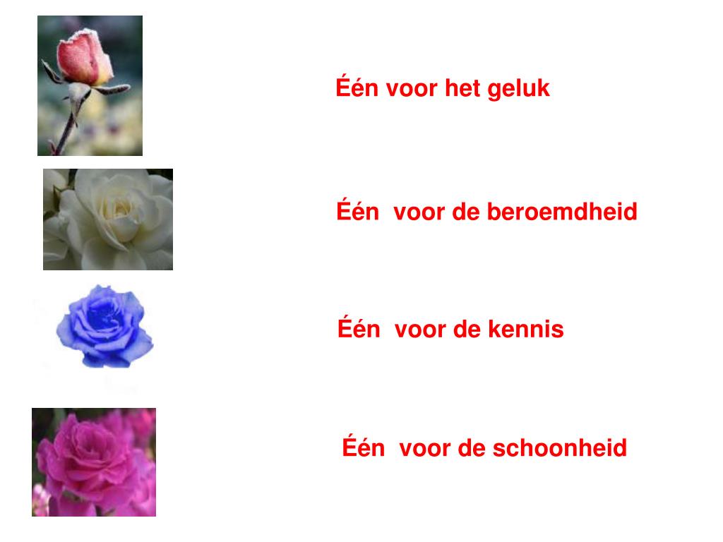PPT - Als je dit krijgt . . . Betekent het dat je heel veel voor mij