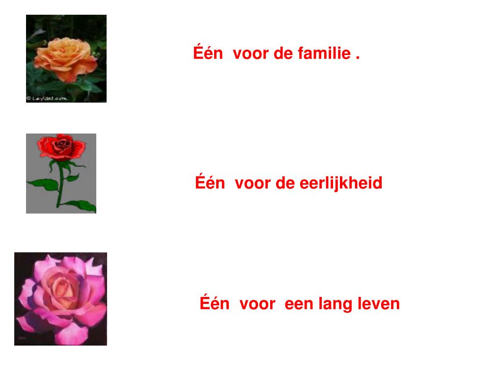 PPT - Als je dit krijgt . . . Betekent het dat je heel veel voor mij