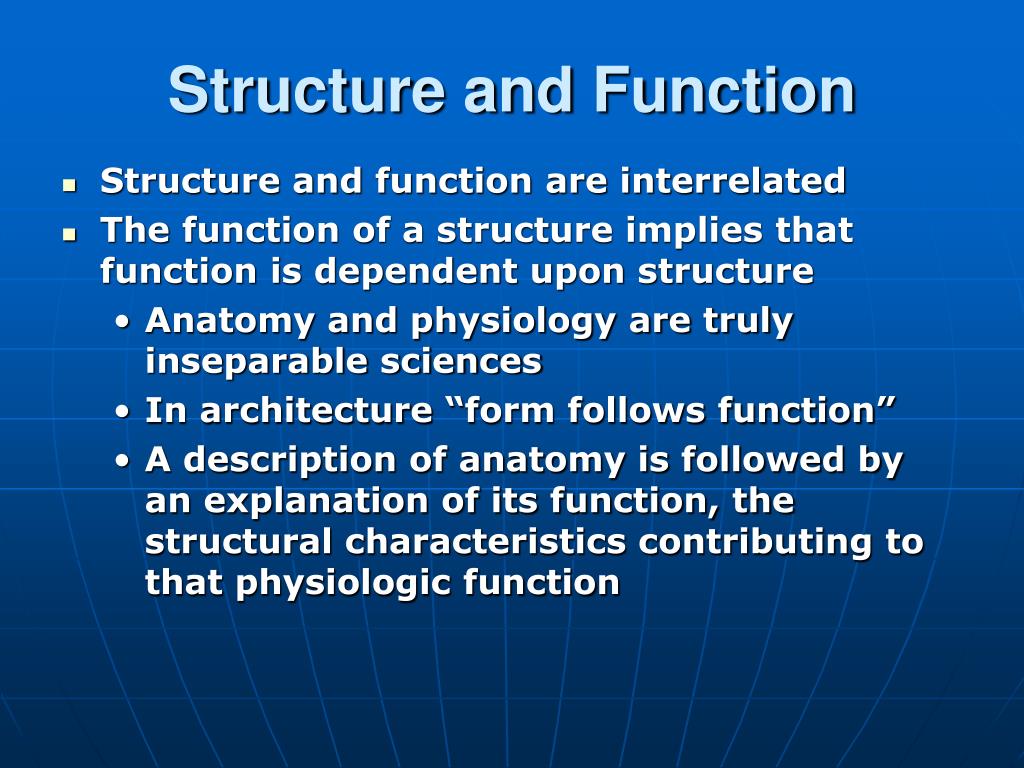 PPT - Human Anatomy - Mr. Taylor PowerPoint Presentation, free download ...
