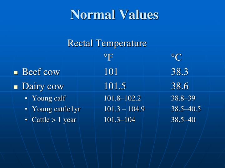 PPT The Physical Examination Cattle II PowerPoint Presentation ID
