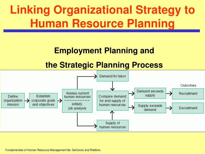 what is human resource planning process