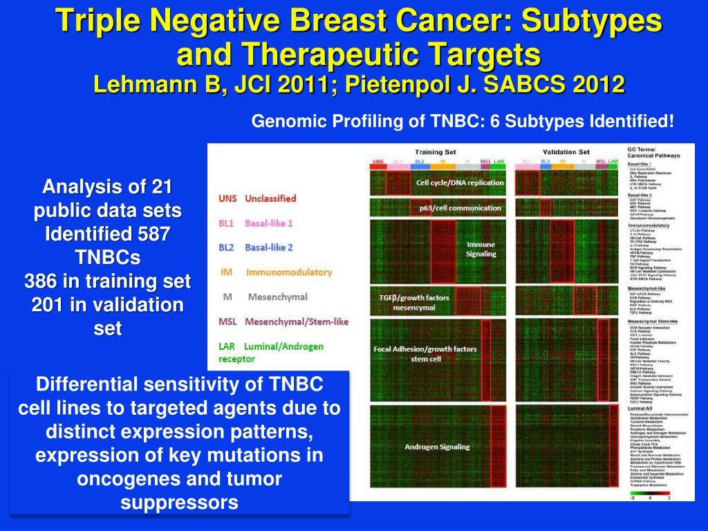 PPT - What’s Positive about Triple Negative Breast Cancer ? PowerPoint ...