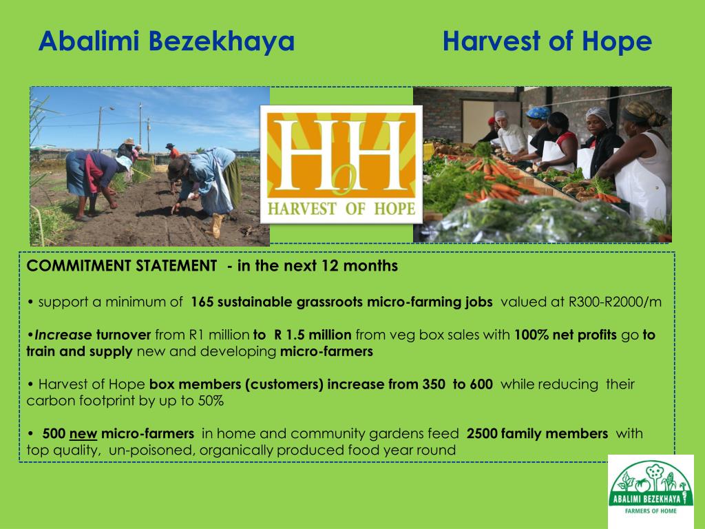 PPT Abalimi Bezekhaya Harvest of Hope PowerPoint Presentation, free