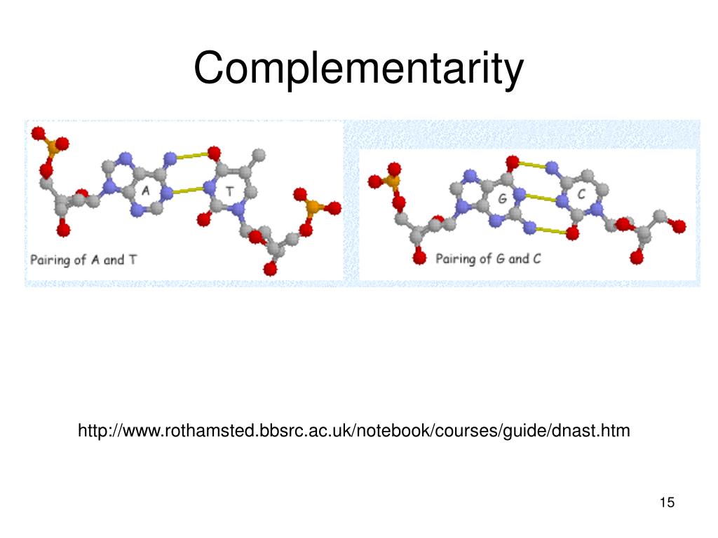 complementarity hypothesis definition biology