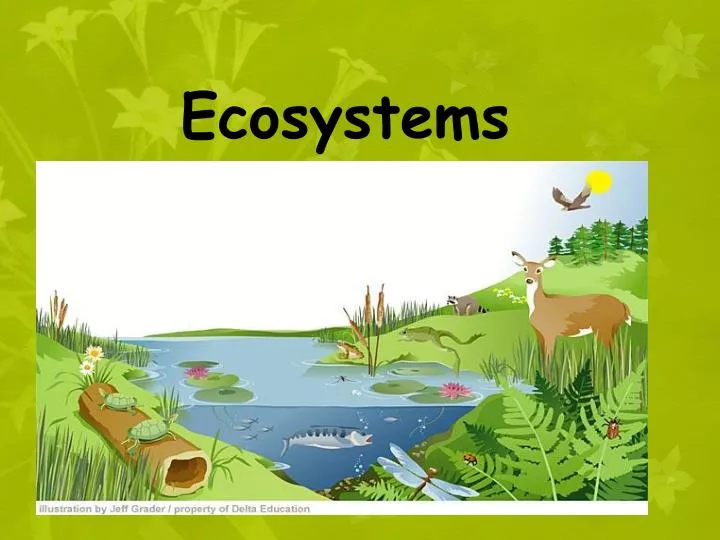 concept of ecosystem presentation