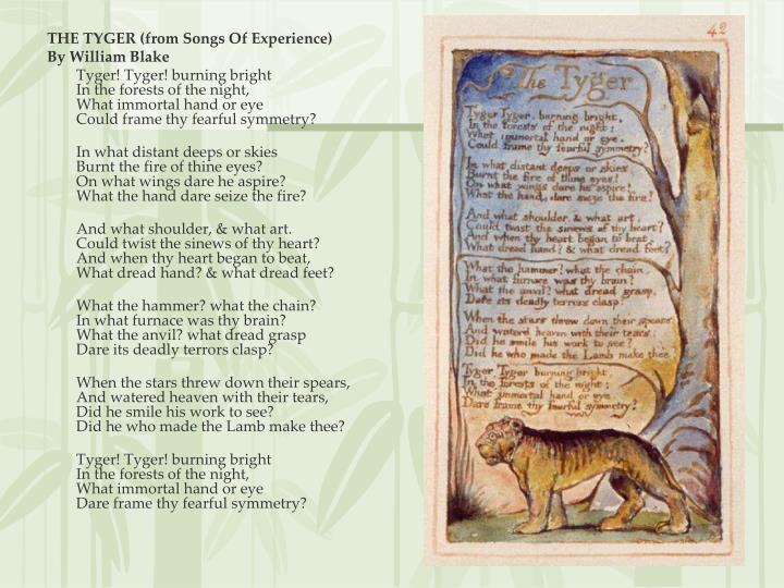 literary devices in the tyger by william blake